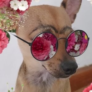 Meet your Posher, Marmay